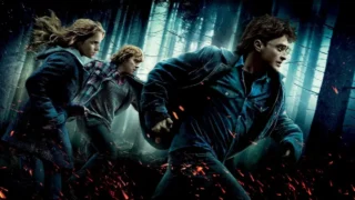 Harry potter e i doni della morte concerto: dettagli e guida alla partecipazione