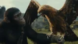 Regno del pianeta delle scimmie: trama, cast e finale del film su Sky Cinema Uno