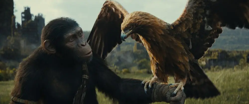 Regno del pianeta delle scimmie: trama, cast e finale del film su Sky Cinema Uno
