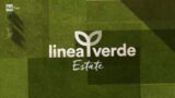 Linea verde estate a Lipari: scoperte e curiosità del 27 luglio