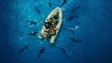 Attacco in alto mare: trama, cast e finale del film Shark Week su Warner Tv