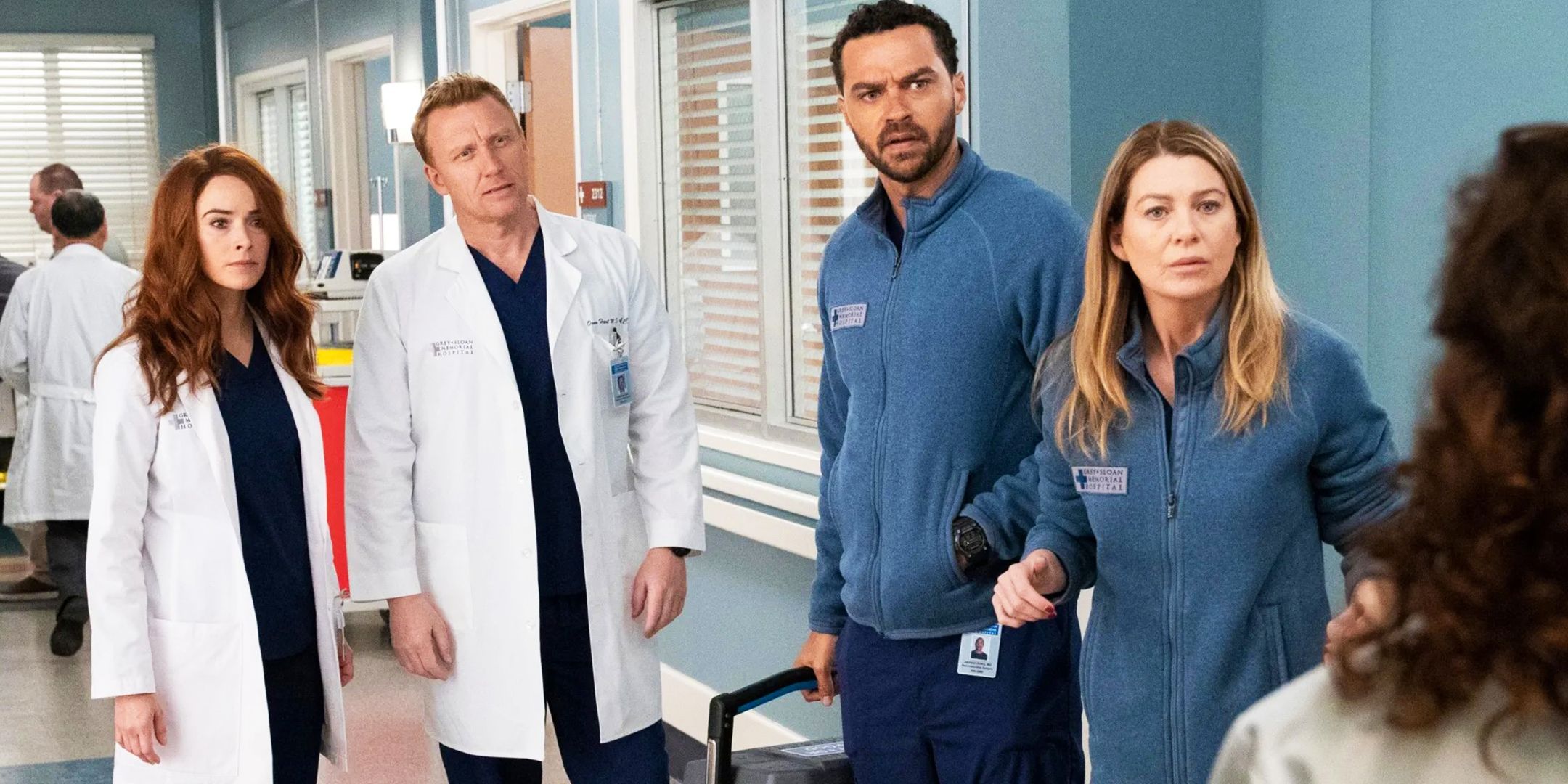Cosa succede in ogni stagione di grey’s anatomy Cosa succede in ogni stagione di grey’s anatomy