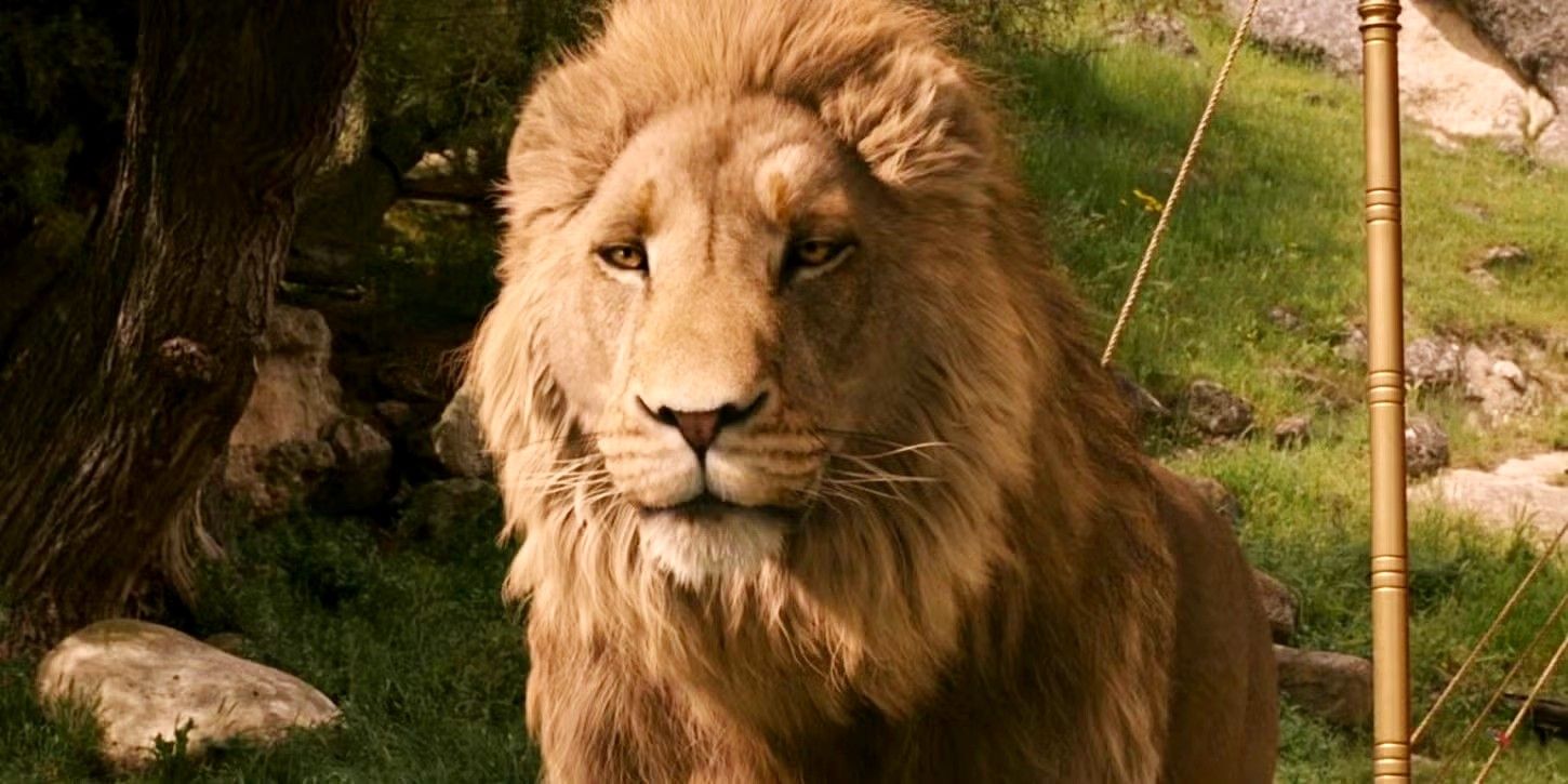 Narnia di greta gerwig: la soluzione ai recenti problemi delle adattamenti fantasy Narnia di greta gerwig: la soluzione ai recenti problemi delle adattamenti fantasy
