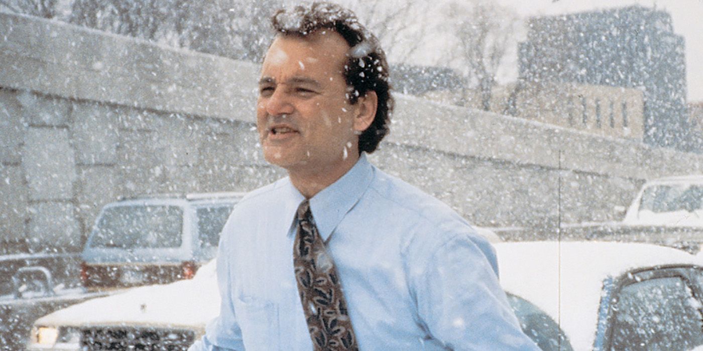 teoria del giorno della marmotta rende la commedia di bill murray molto pi249 cupa