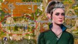 Baldur’s gate 3: dove trovare tutte le parti del corpo di dribbles the clown