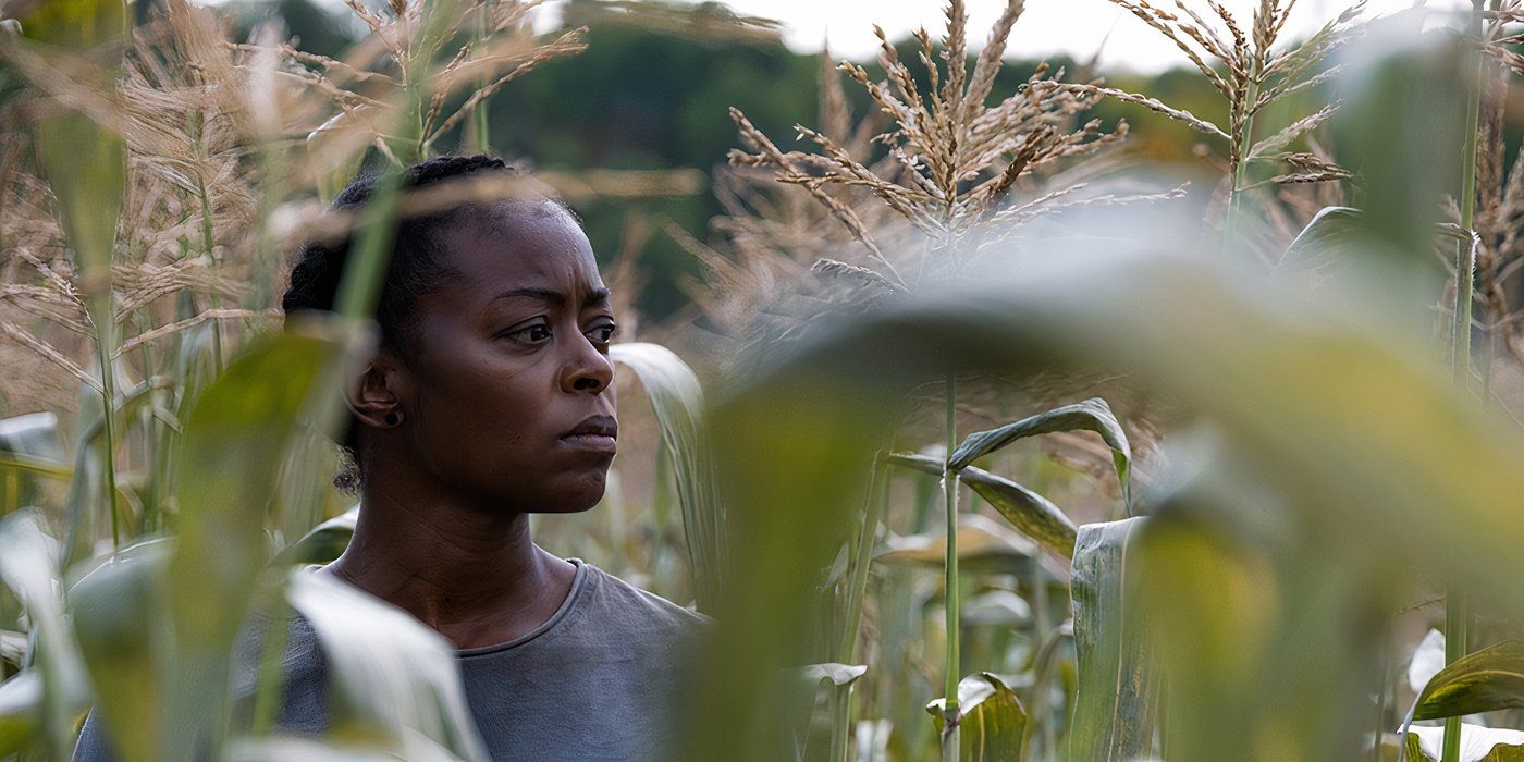 Film d’azione ignorato da 669.063 dollari ha uno dei migliori punteggi di Rotten Tomatoes del 2025 Film d’azione ignorato da 669.063 dollari ha uno dei migliori punteggi di Rotten Tomatoes del 2025