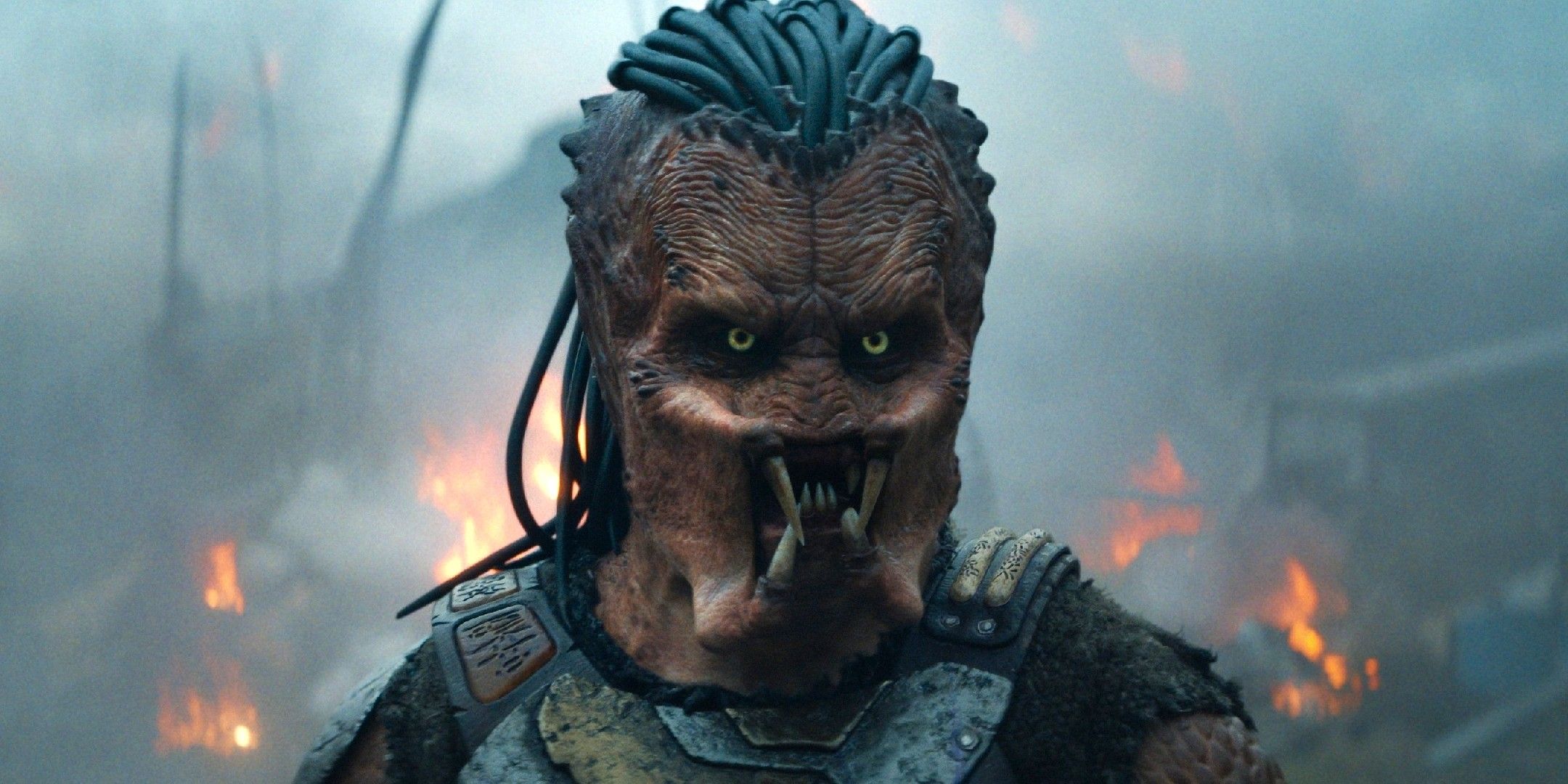 Alien vs predator: opportunità e sfide del film secondo il direttore della saga Alien vs predator: opportunità e sfide del film secondo il direttore della saga