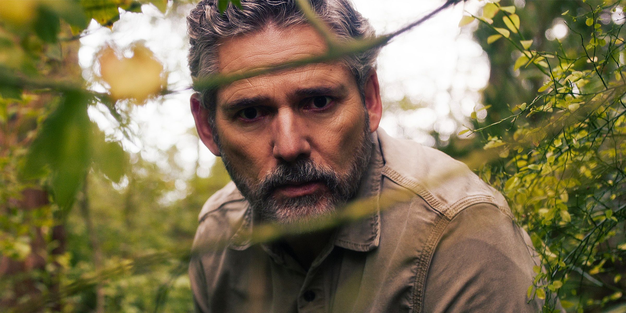 Cast e personaggi di untamed: scopri il dramma di eric bana su netflix
