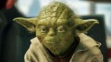 Nuovo membro della specie di yoda nel mondo di star wars