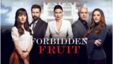 Fine della prima stagione di forbidden fruit: colpo di scena sorprendente