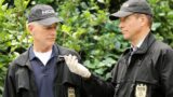 Revival di ncis per salvare cbs dalla crisi