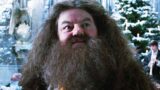 Hagrid nel remake di harry potter: prima immagine di nick frost