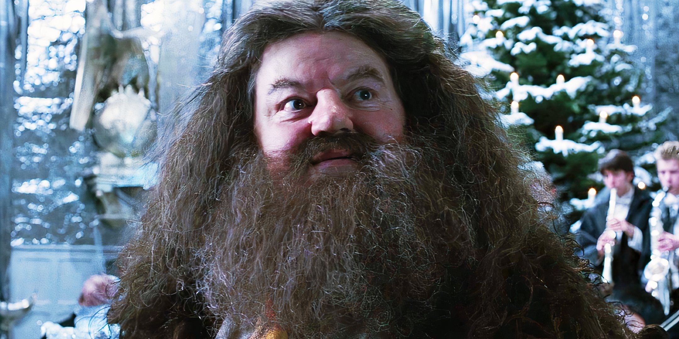 Hagrid nel remake di harry potter: prima immagine di nick frost