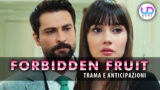 Forbidden fruit anticipazioni: amore tra zeynep e alihan?
