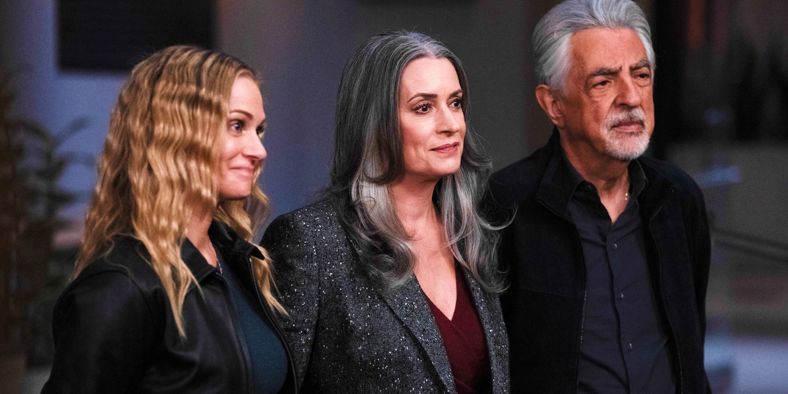 Criminal minds: critica finale della terza stagione e la vittoria del bau Criminal minds: critica finale della terza stagione e la vittoria del bau