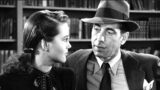Film noir imperdibili su Prime Video