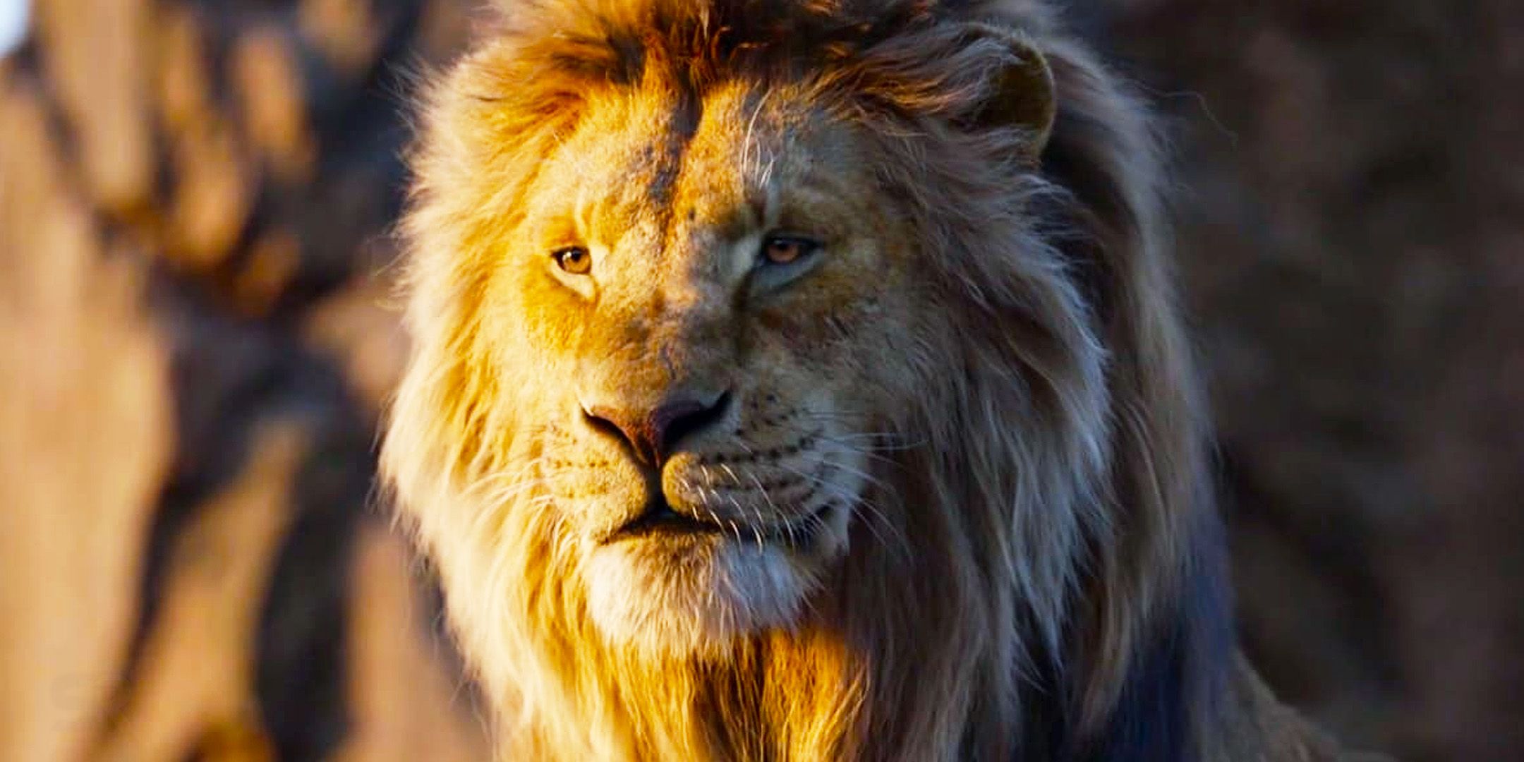 Il miglior spinoff de il re leone uscito 29 anni prima del prequel da 722 milioni di dollari di disney Il miglior spinoff de il re leone uscito 29 anni prima del prequel da 722 milioni di dollari di disney