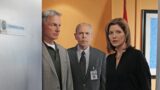 Ncis: gli origini possono riscattare l’interesse amoroso di gibbs ma con una condizione