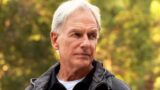 Morte di un personaggio in ncis: origini potrebbe svelare il ritorno di mark harmon come gibbs