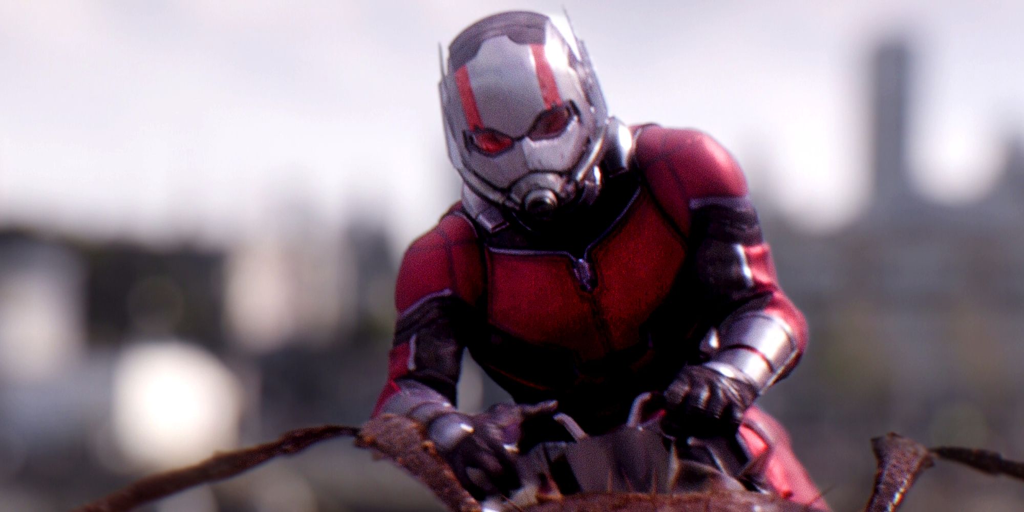 Ant Man esprime disappunto per il futuro del suo personaggio nel MCU Ant Man esprime disappunto per il futuro del suo personaggio nel MCU