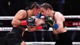 Vincitore del combattimento tra katie taylor e amanda serrano su netflix