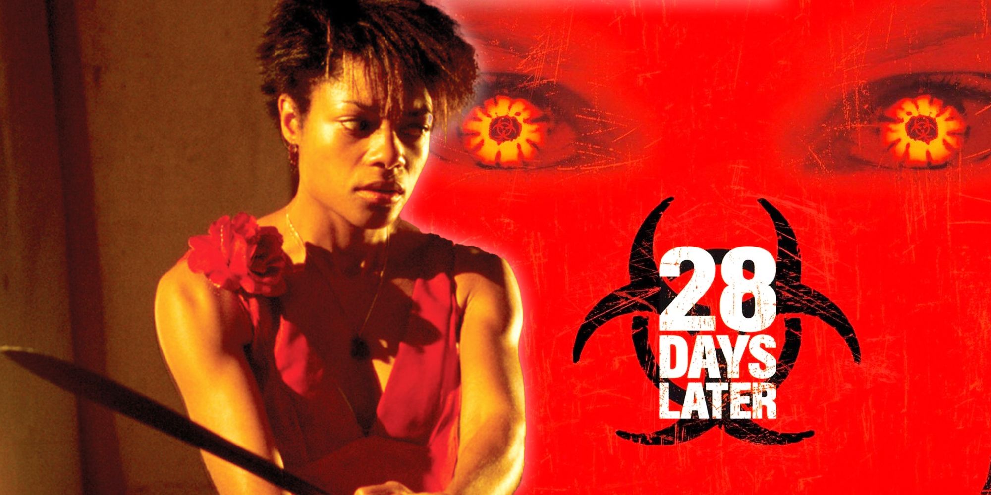 28 anni dopo cambia il destino di un eroe, una svolta inaspettata per la serie 28 anni dopo cambia il destino di un eroe, una svolta inaspettata per la serie