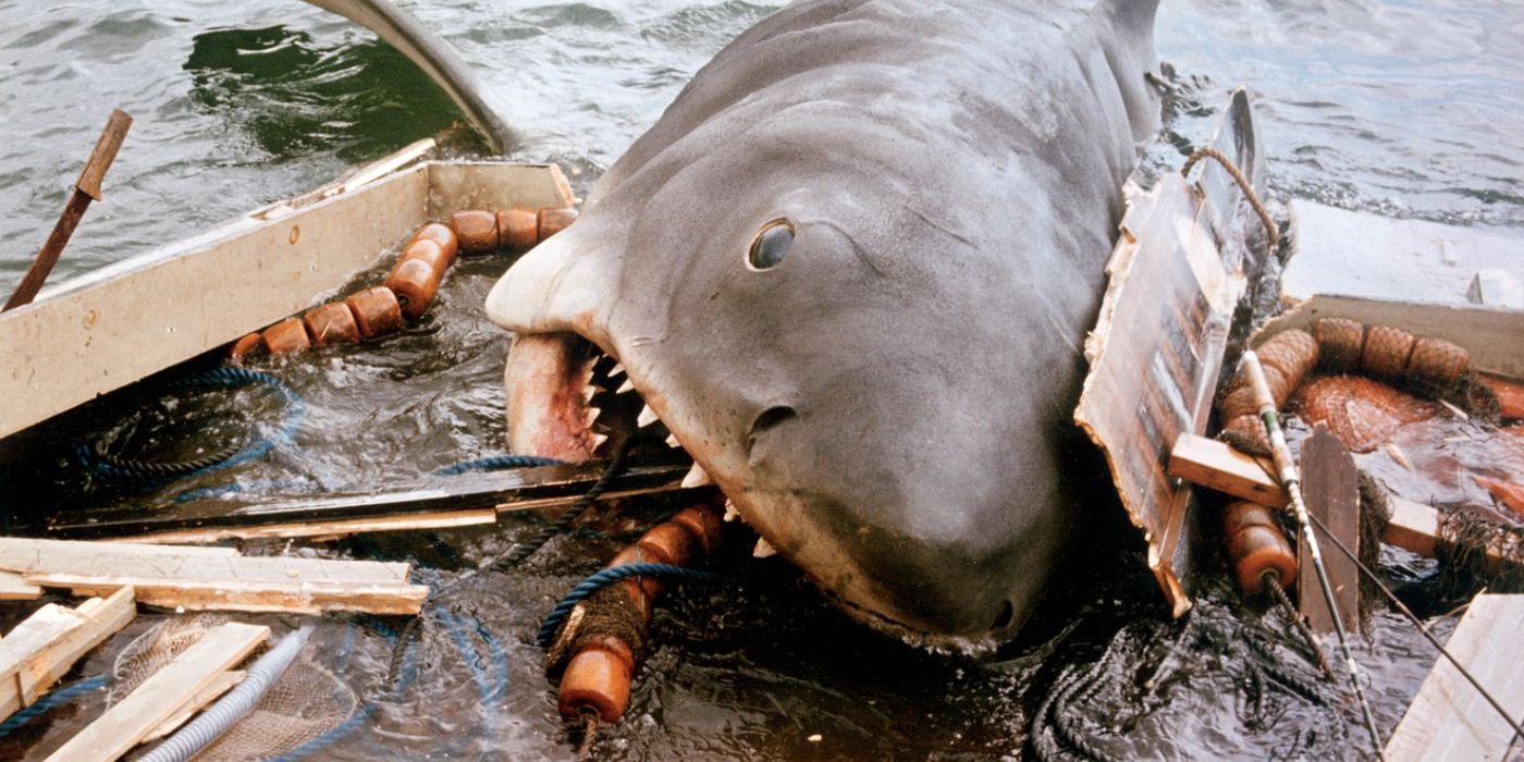 Attacco di squalo reale segna un cambiamento nel copione di jaws Attacco di squalo reale segna un cambiamento nel copione di jaws