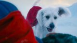 Krypto di superman: una scena scioccante che poteva essere ancora peggiore