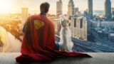 Superman: la nuova origine sorprendente di james gunn
