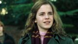 Hermione nel remake di harry potter: decisioni difficili dopo i cambiamenti nei film
