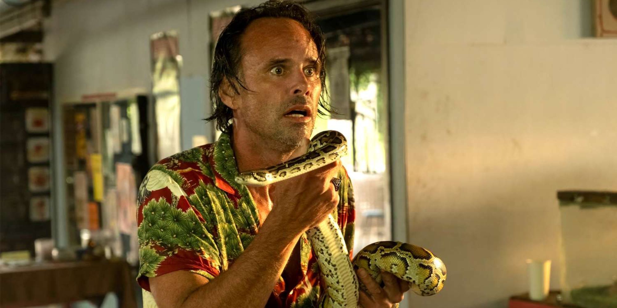 Walton goggins: il suo show hbo da non perdere oltre a the white lotus
