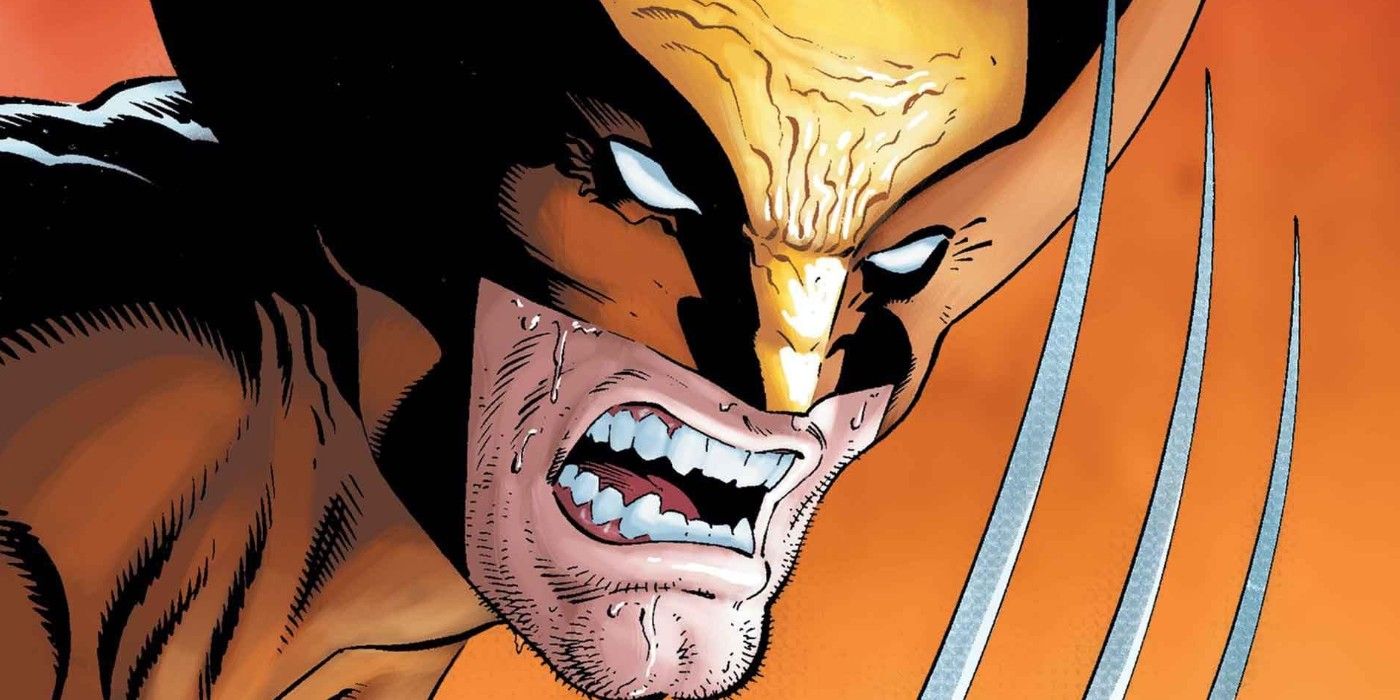 Wolverine il supereroe controverso di marvel che non doveva esistere Wolverine il supereroe controverso di marvel che non doveva esistere