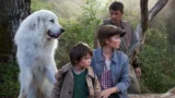 Location del film belle e sebastien: dove è stata girata l’avventura