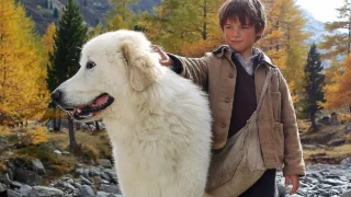 Bell e sebastien: scopri se il film è ispirato a una storia vera