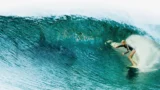 Paradise beach: la vera storia dietro l’incubo del film