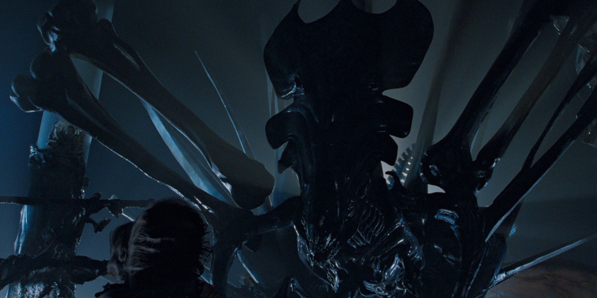 xenomorfi come james cameron migliorerebbe il design in un film moderno