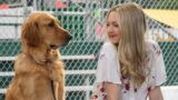 Film perfetto conquista le classifiche di Netflix
