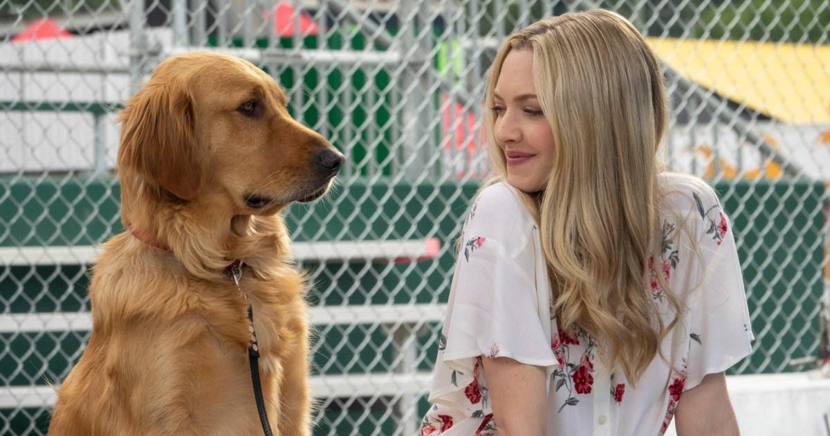 Film perfetto conquista le classifiche di Netflix Film perfetto conquista le classifiche di Netflix