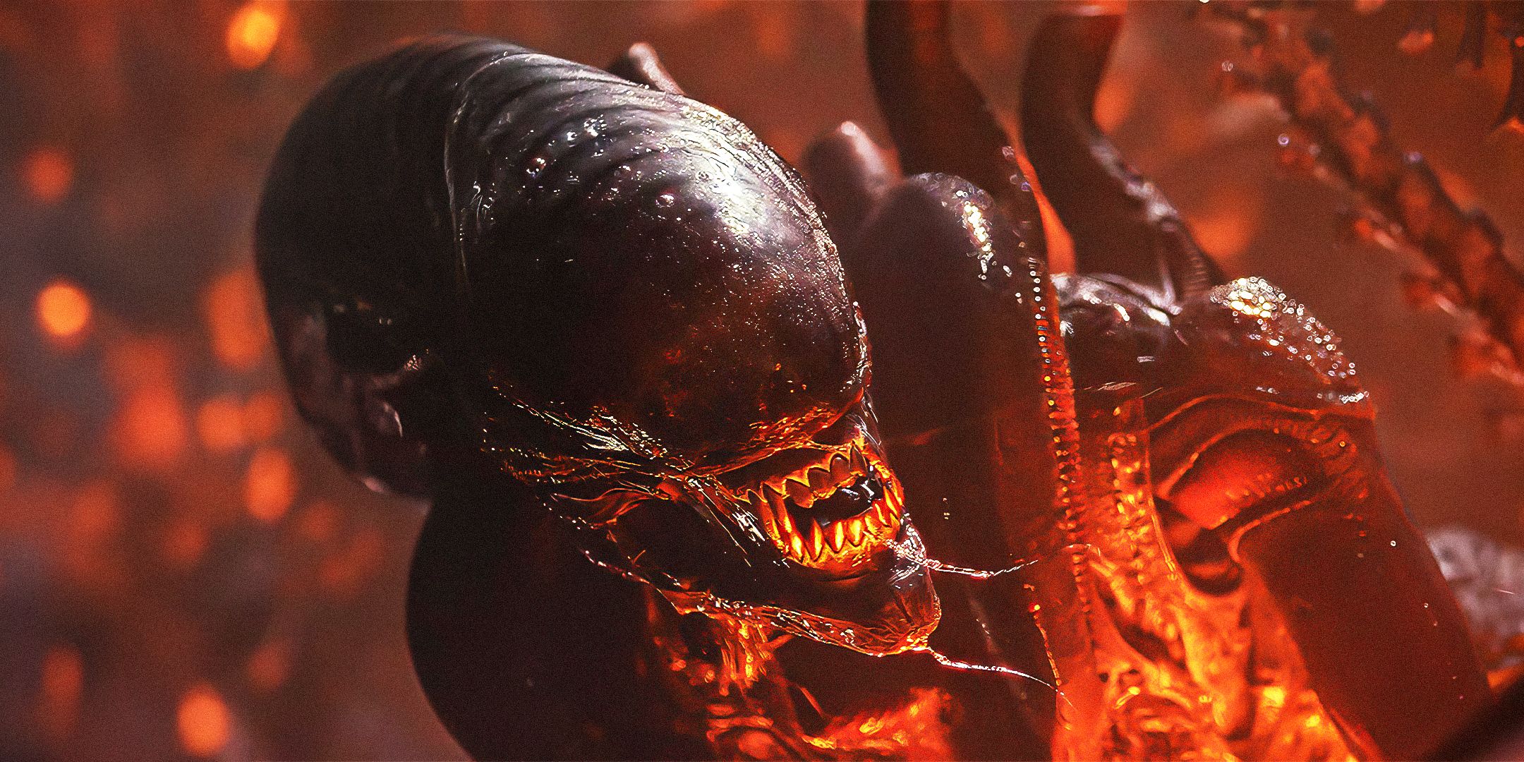 Xenomorfi e impianti alieni analizzati da un medico esperto Xenomorfi e impianti alieni analizzati da un medico esperto
