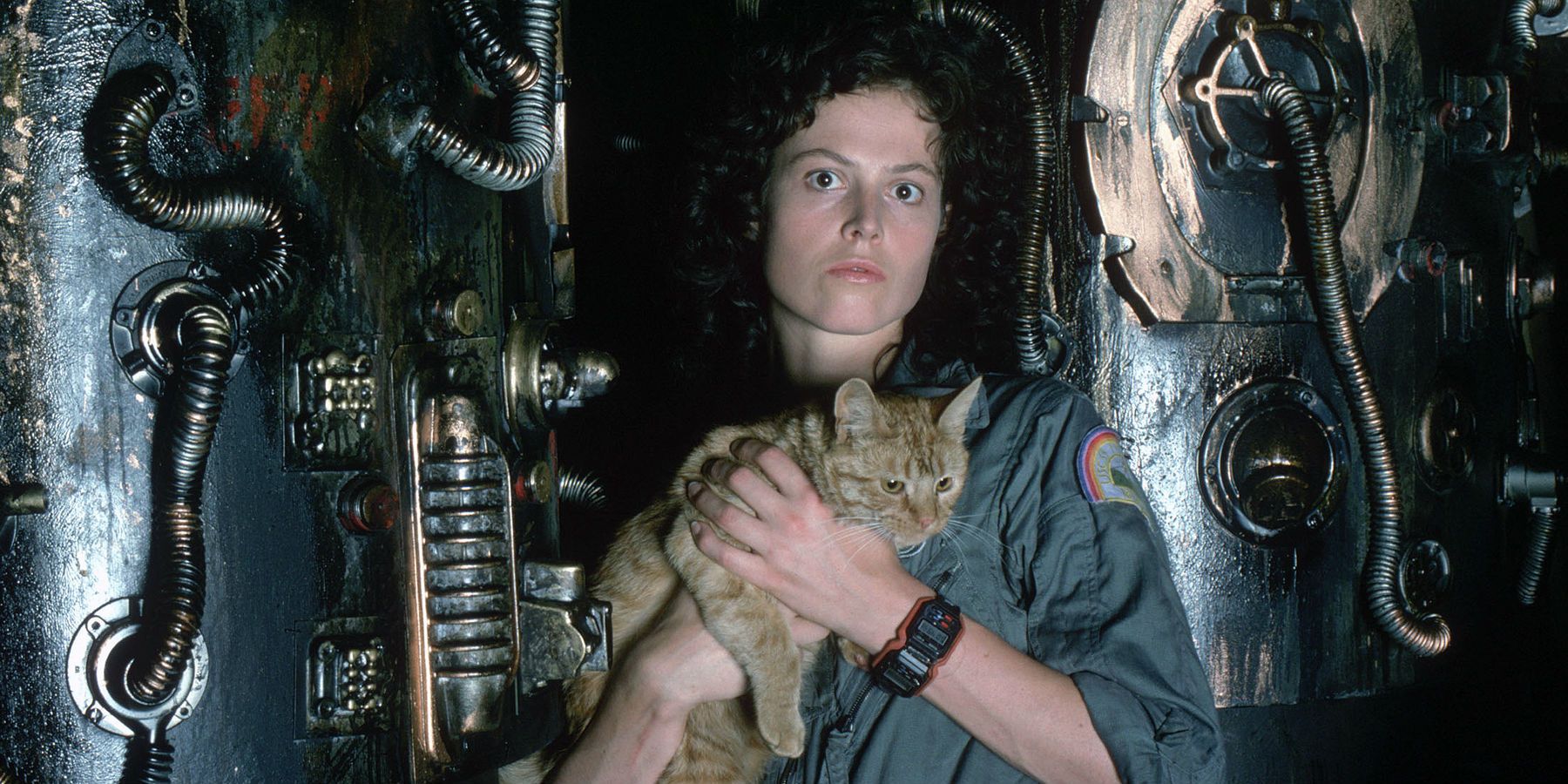 alien spiegato il richiamo di earth a jonesy il gatto