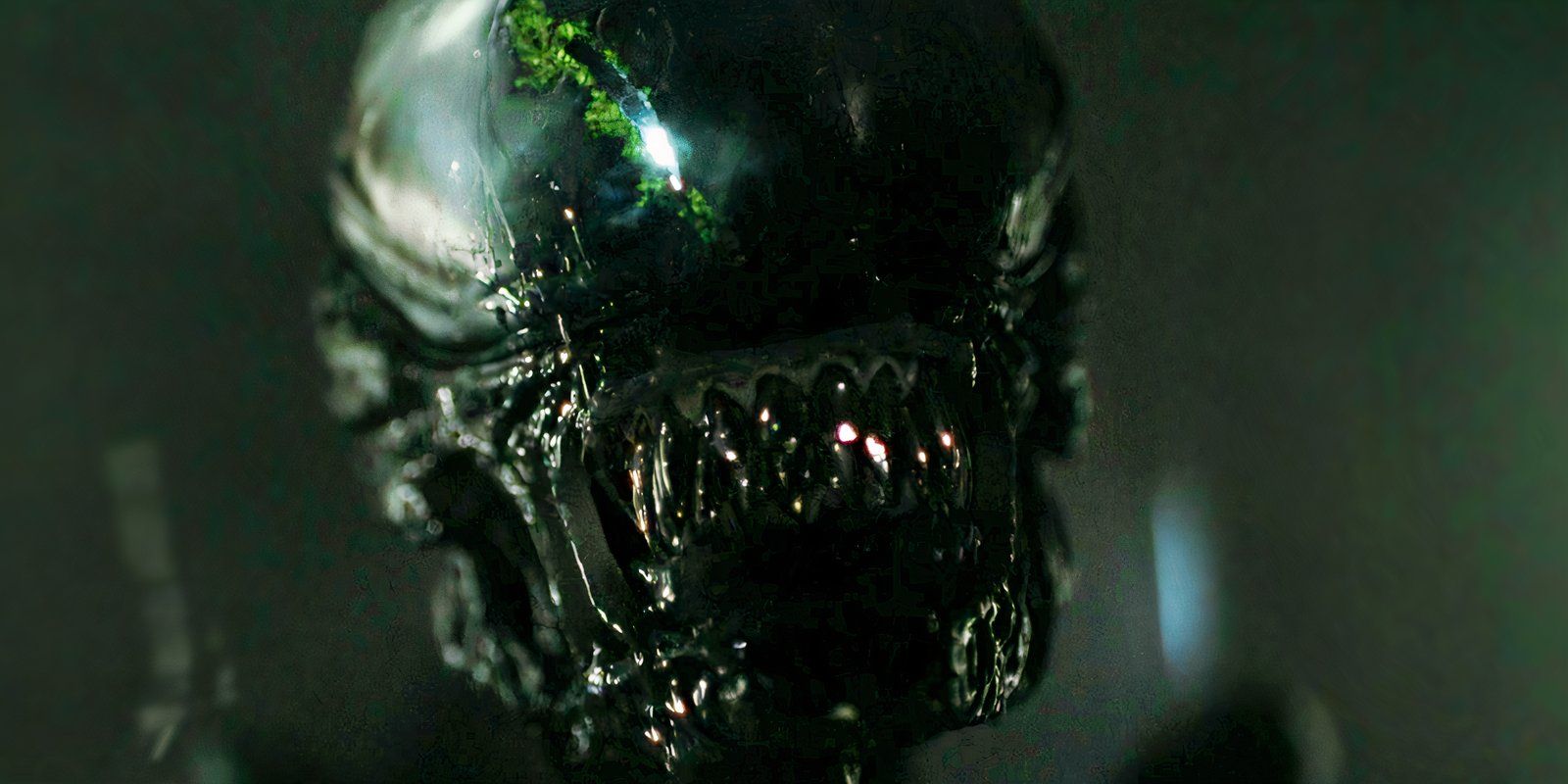 Fasi del xenomorfo in alien spiegate