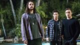 Animal kingdom: finale di serie e possibilità di spin-off