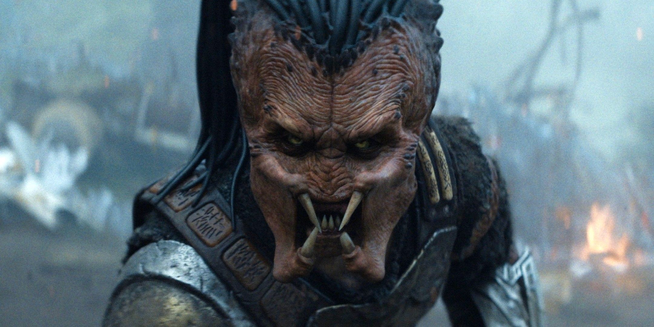 Predator badlands: sveliamo il mistero del film Predator badlands: sveliamo il mistero del film