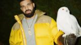 Il successo di drake dopo la fine della battaglia con kendrick lamar