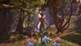 Brandon sanderson esalta il mondo unico di elder scrolls ispirato a tolkien