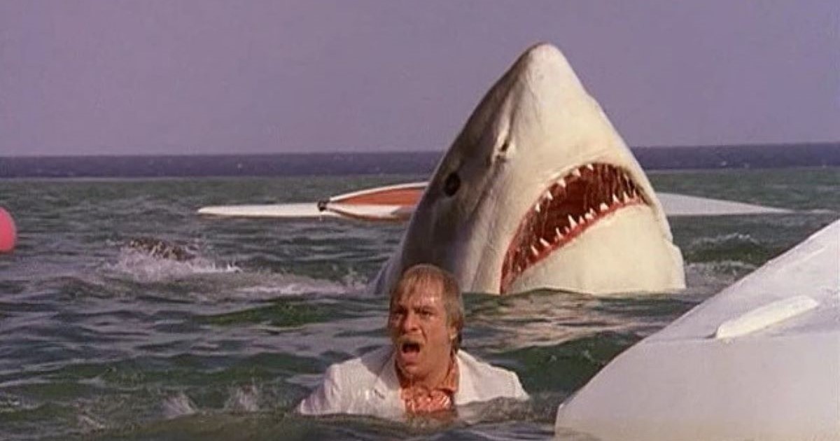 Il miglior sequel de lo squalo nel dimenticato film italiano Il miglior sequel de lo squalo nel dimenticato film italiano