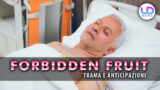 Yildiz incinta e halit muore: anticipazioni su forbidden fruit
