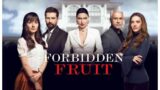 Forbidden fruit, anticipazioni stagione 1: la proposta di matrimonio di tasdemir a zeynep