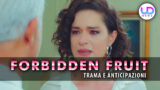 Finisce la prima stagione di forbidden fruit: sinan e zehra, alleanza vincente!