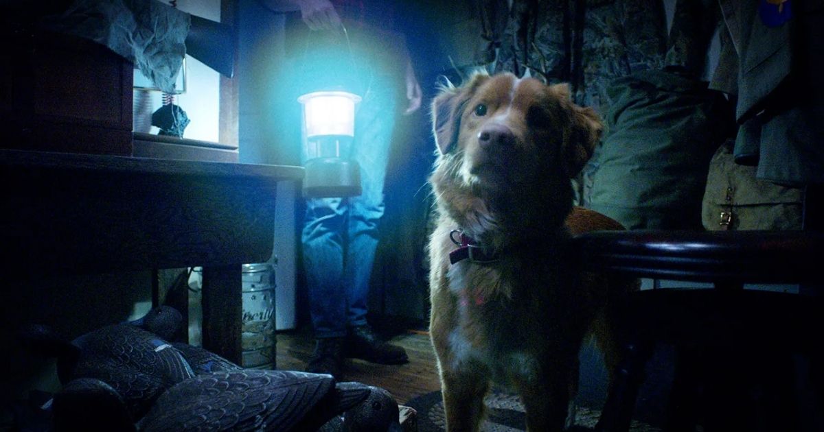 un cane affronta il sovrannaturale nel trailer di good boy